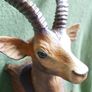 Vintage DEER HEAD English Barometer Image 9
