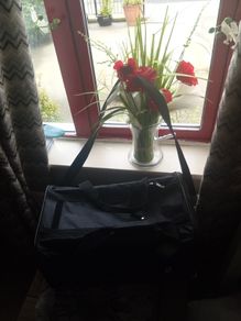 pet carry bag