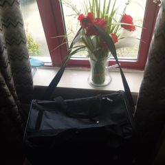 pet carry bag