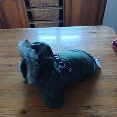 Dog coat.