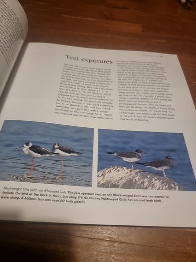 An Essential Guide to Bird Photography (Paperback)