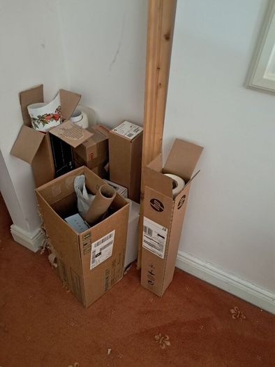 Printer and computer
