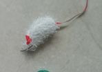 Kitten toys