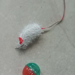 Kitten toys