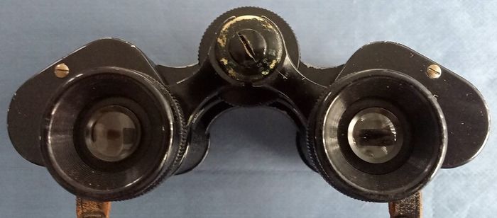 Lewis Manchester 8x25 Prizm binoculars