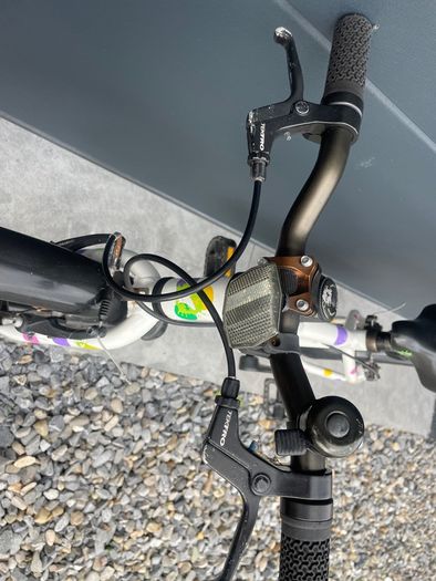 Frog Bike