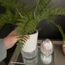 New  bespoke Tray & home Decor Image 2