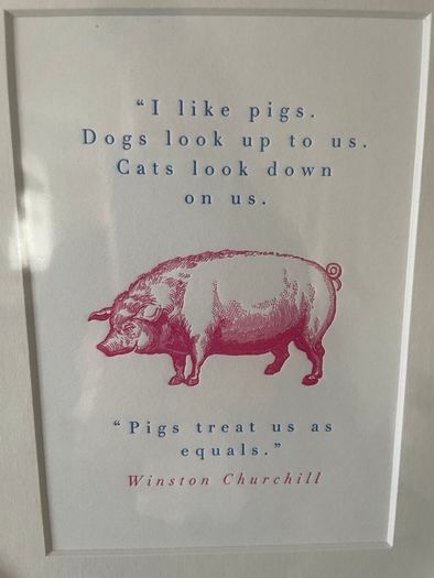 Framed Humorous Prints
