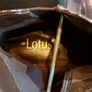 Lotus  Ankle Boots Image 6