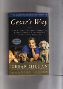 Cesar's Way - The Natural, Everyday Guide To Understanding & Correcting Common Dog Problems.....