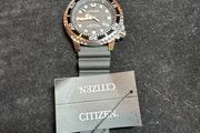 Citizen Divers Eco drive