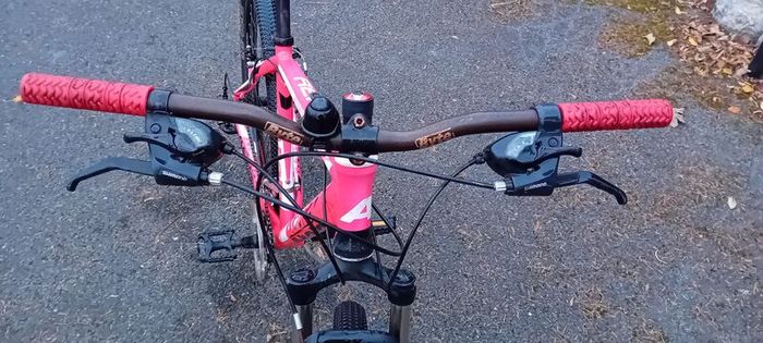 Bargin Mountain Bike