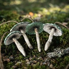 Handcrafted Cotton spoon mushroom