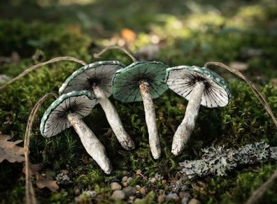 Handcrafted Cotton spoon mushroom