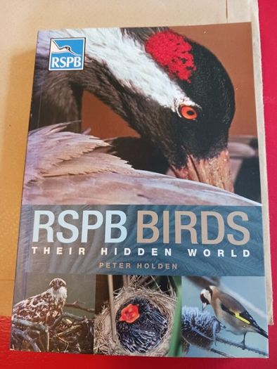 RSPB BIRDS/ Their Hidden World/ Peter Holden
