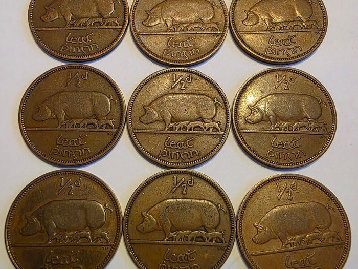irish half penny's