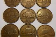 irish half penny's