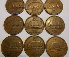 irish half penny's