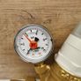 Caleffi 3/4 Adjustable Pressure Reducing Valve up to 6 bar with Gauge Image 6