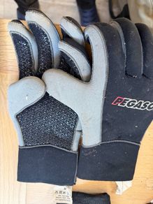 diving gloves