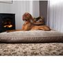 for dogs Image 4