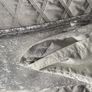 NEXT curtains Image 7