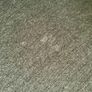 free 2 seater sofa Image 4