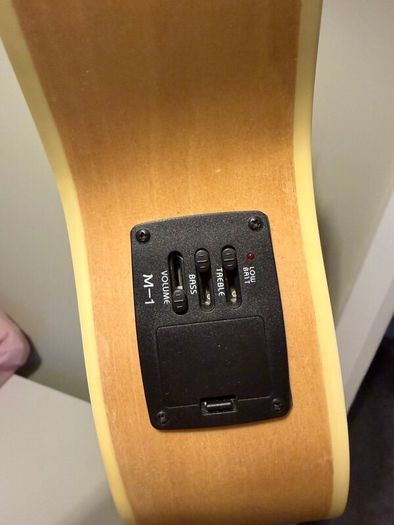 Ukulele - Concert Electric/ Electro