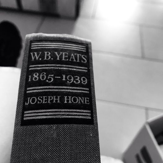 W B Yeats-2nd Edition -Joseph Hone