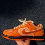 Nike SB Orange lobster Image 3