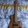 lakland skyline 55-01 Image 2