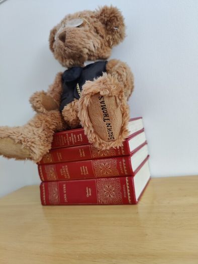 Collectors bear Brown Thomas Dublin limited edition