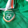 Ireland Football Home Jersey 2015 to 2016 Small Adult Umbro Image 4