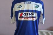 2017 Laois GAA Jersey - Small size