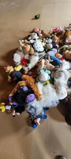Soft Toys Open to Offers