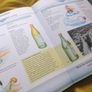 The BIG BOOK of SCIENCE - A Children's Encyclopedia Image 6
