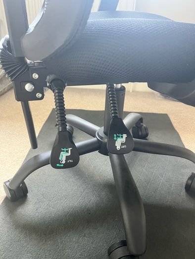 Ergonomic Chair