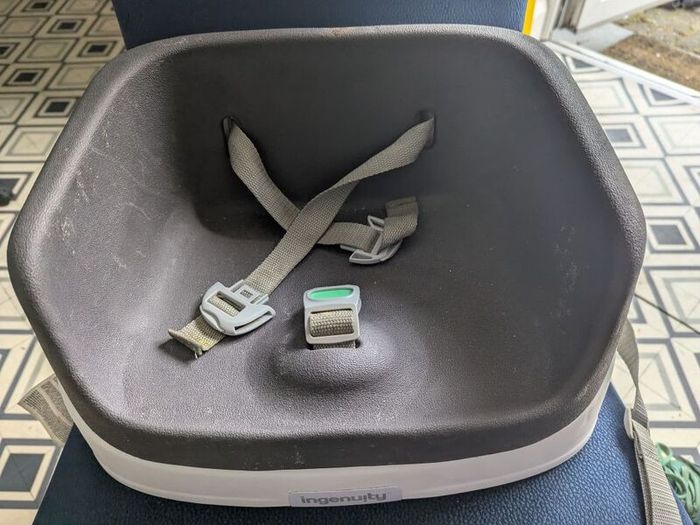 ingenuity booster seat
