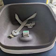 ingenuity booster seat