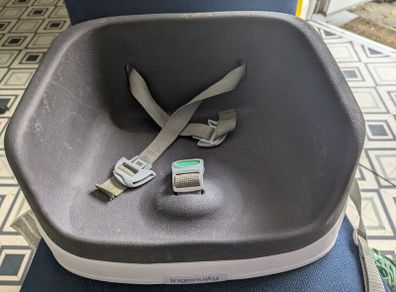 ingenuity booster seat