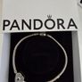 Pandora Image 2
