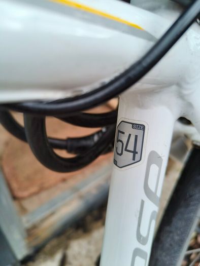 Cannondale Synapse Women's Bike