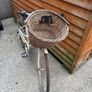 electra ladies bike Image 2