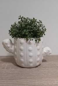 Artificial Plant with Pot