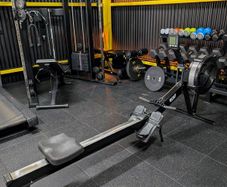 Bolt Strength Air Rower
