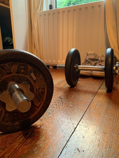 Pro Power bench press + additional bar and weights