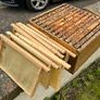 National Beehive & 2 x Nuc hives Image 5