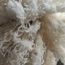 Large Chunky Vintage Curtain Tassel Tiebacks Pair - 23" Image 5
