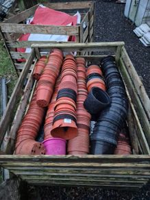 Various flower potting pots from 5c each @ OCG