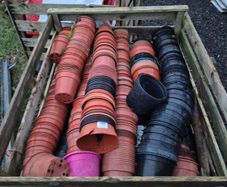 Various flower potting pots from 5c each @ OCG
